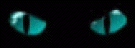 eyescatblu