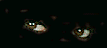 eyesdark