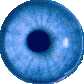 pupil