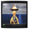 reporter