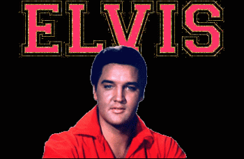 elvis