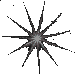 star1