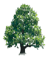 tree11