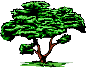tree3