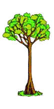 tree4