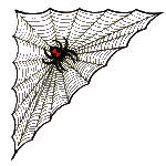 Spider web 3