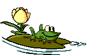 Frog 1