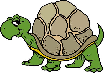 Turtle 3