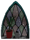 holidaywindow