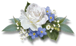 rose8